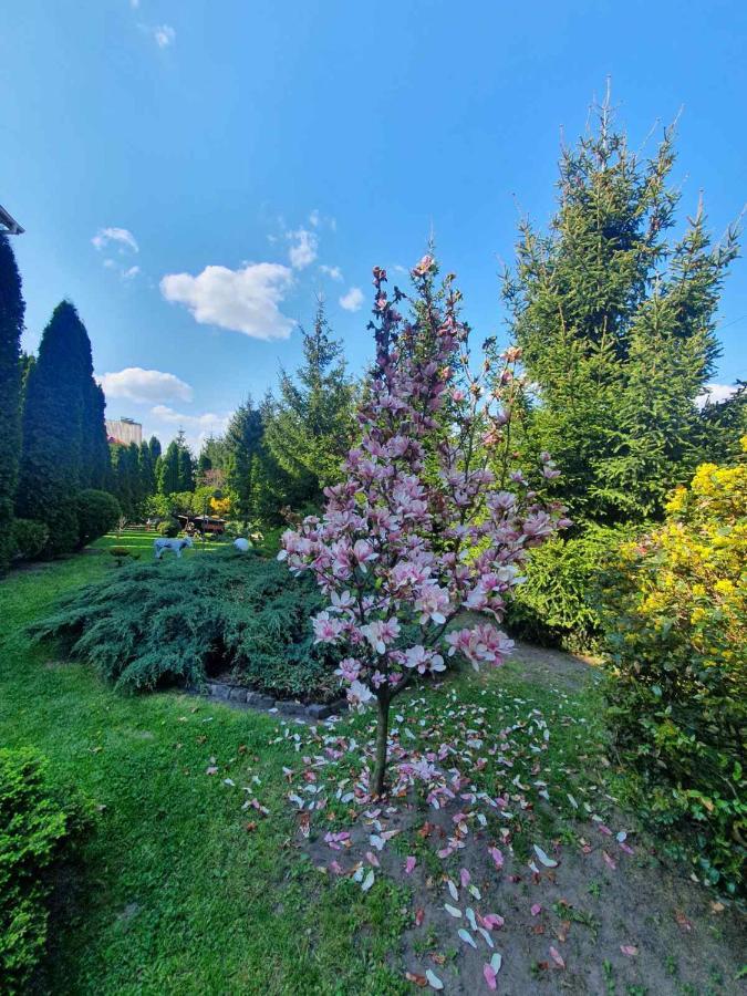 Дом Для Души С Бассейном Целиком Hotel Vinnytsja Buitenkant foto